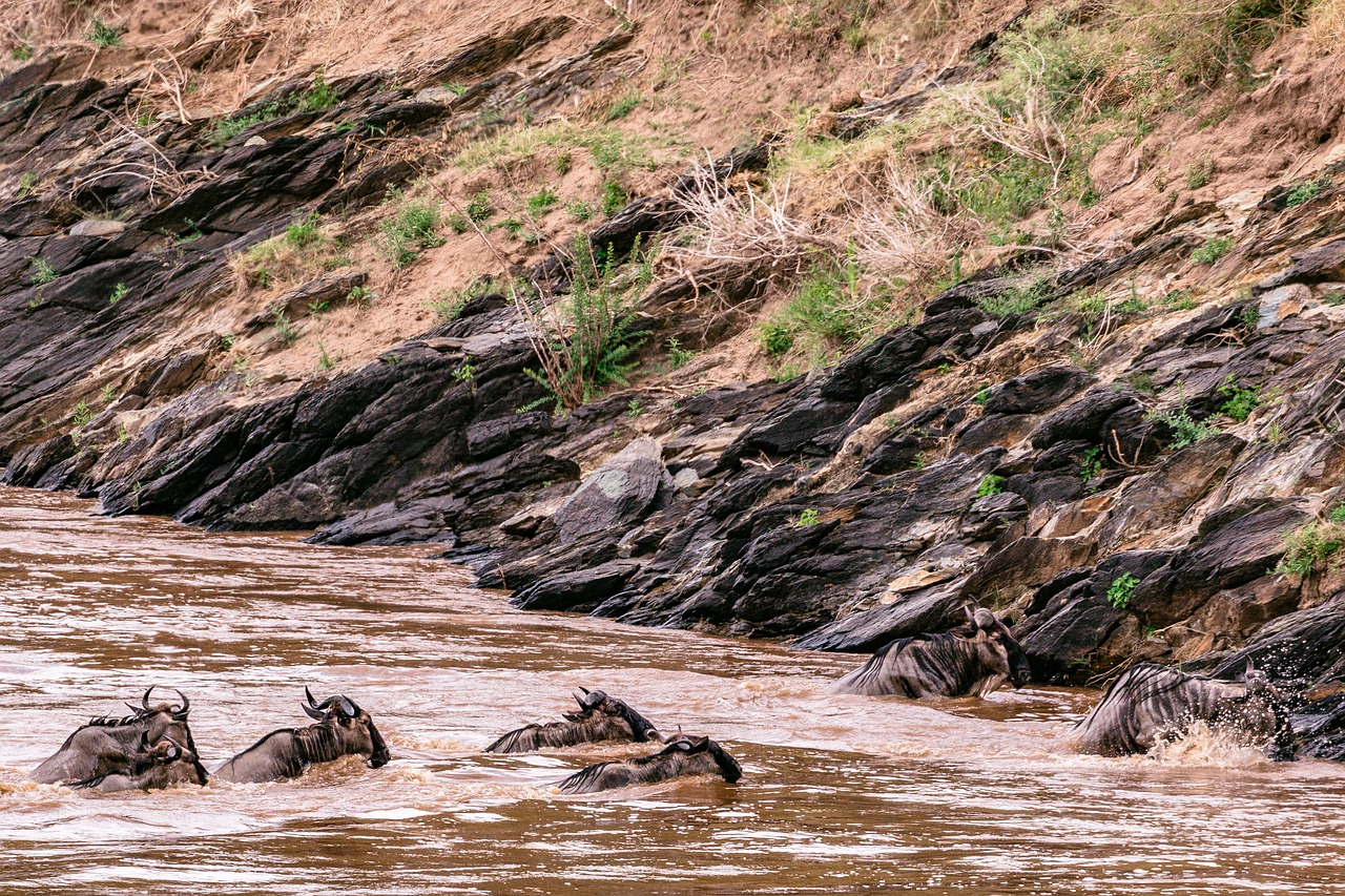 5-day Trip to Maasai Mara, Kenya